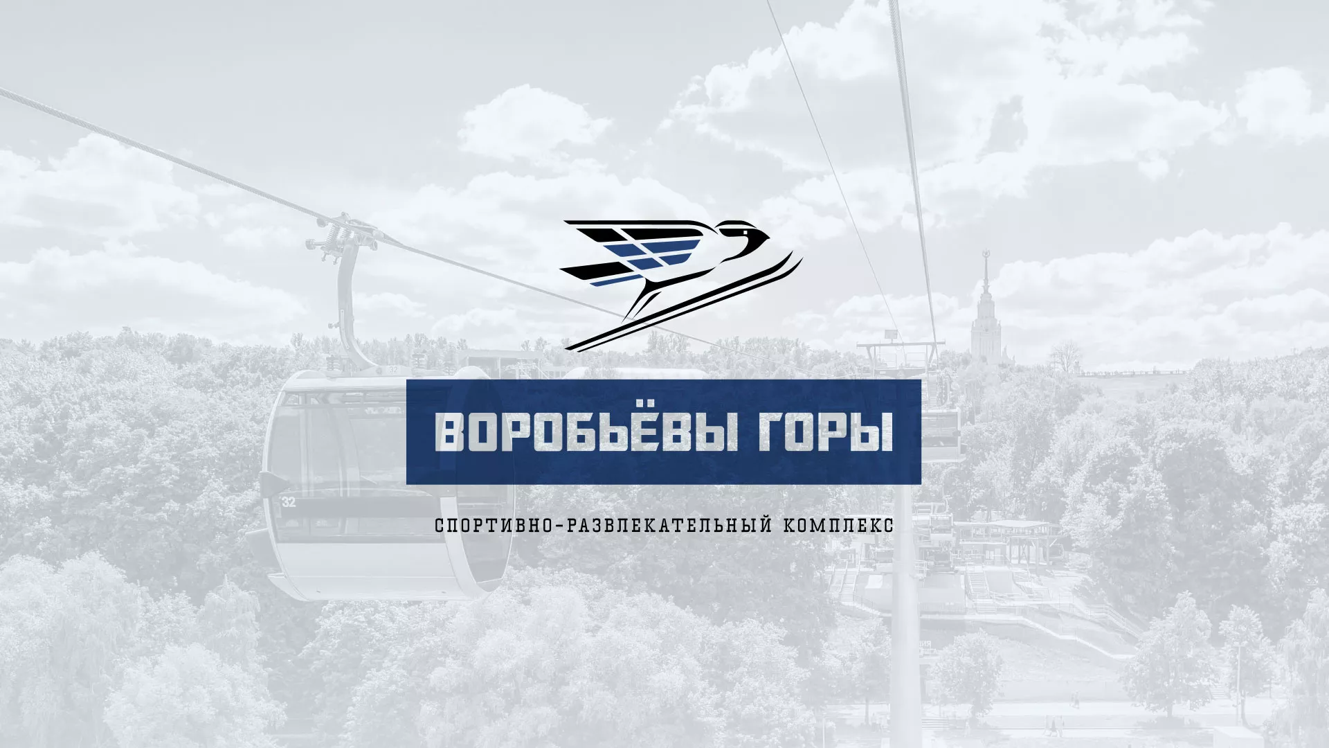 Разработка сайта в Долинске для спортивно-развлекательного комплекса «Воробьёвы горы»