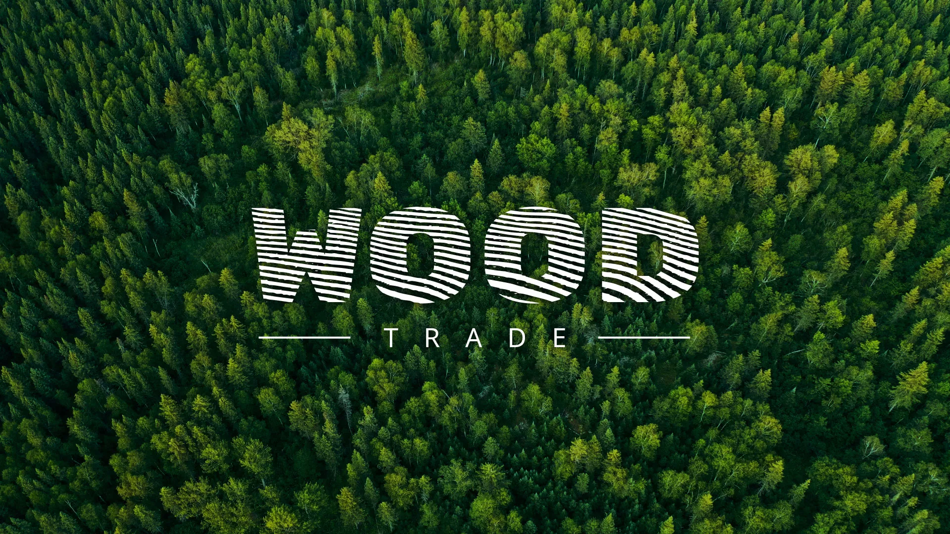 Разработка интернет-магазина компании «Wood Trade» в Долинске