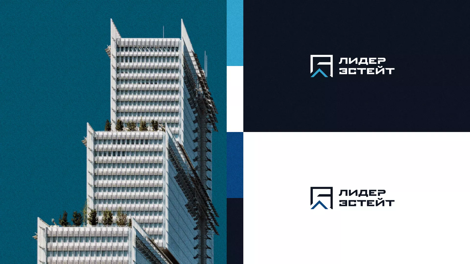 Разработка логотипа агентства недвижимости «Лидер Эстейт» в Долинске