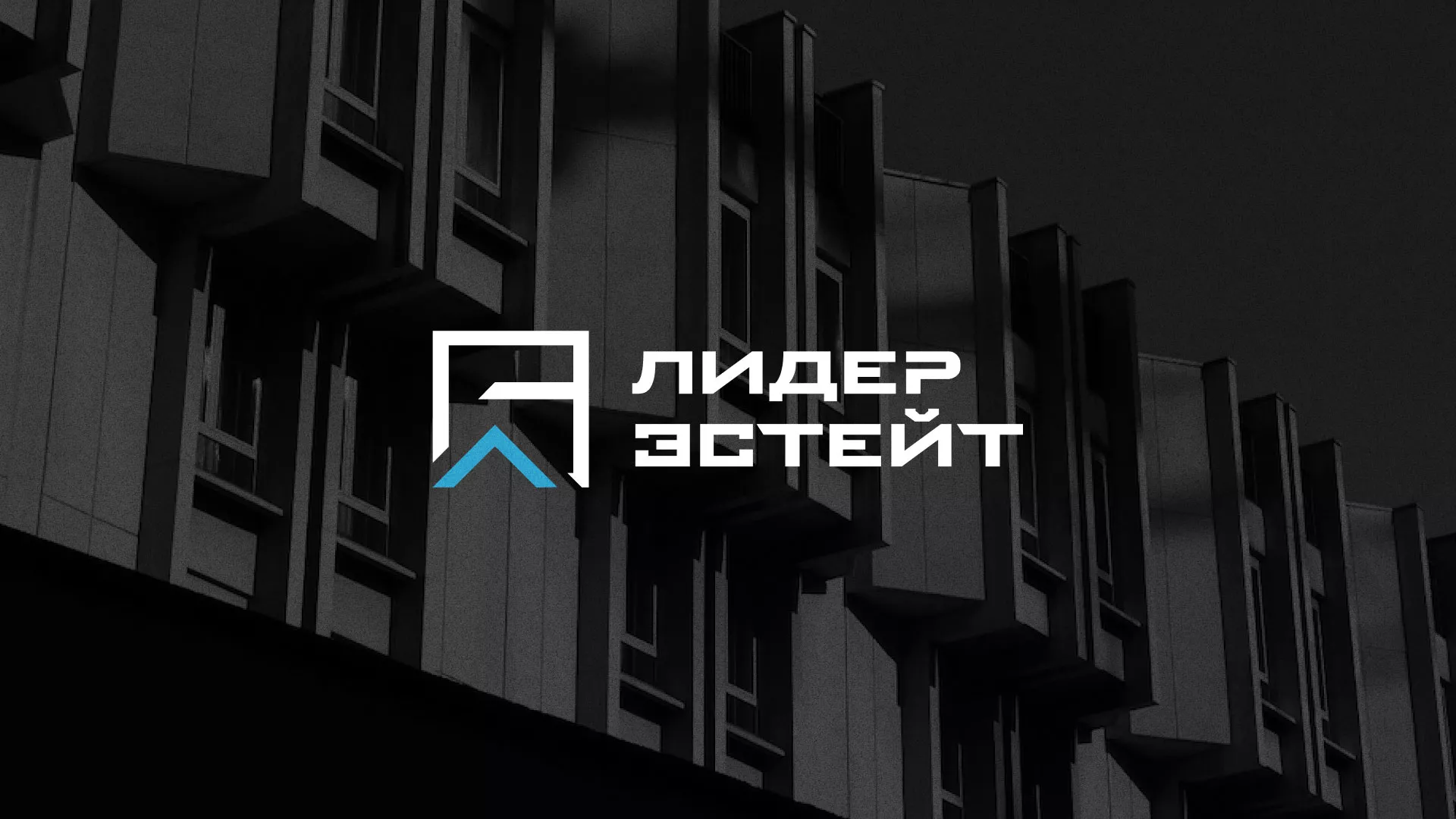 Разработка логотипа агентства недвижимости «Лидер Эстейт» в Долинске